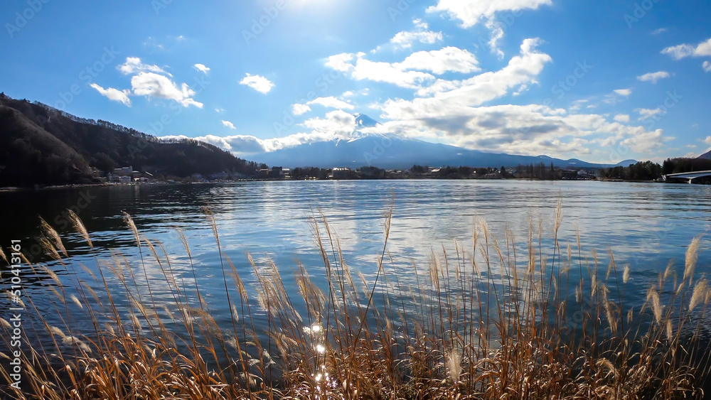 An idyllic view on Mt Fuji from the side of Kawaguchiko Lake, Japan. The mountain is surrounded by clouds. Dried, golden grass on the shore of the lake. Serenity and calmness. Few ducks on the lake