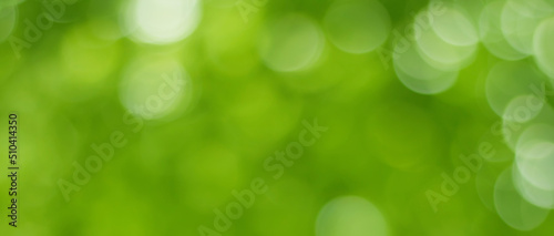 Wide Angle Green Nature Blurred header Background