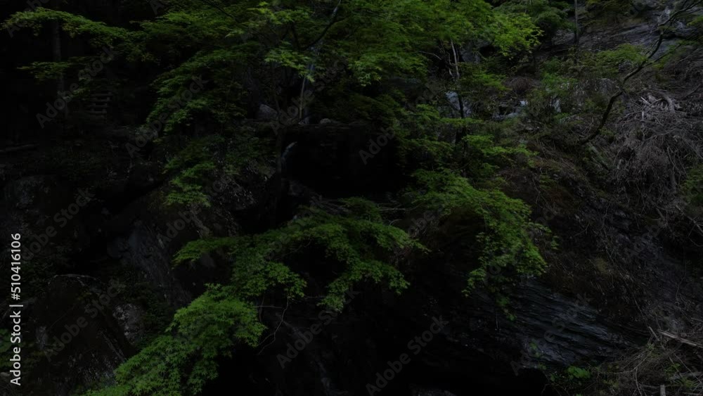 滝山　ドローン空撮