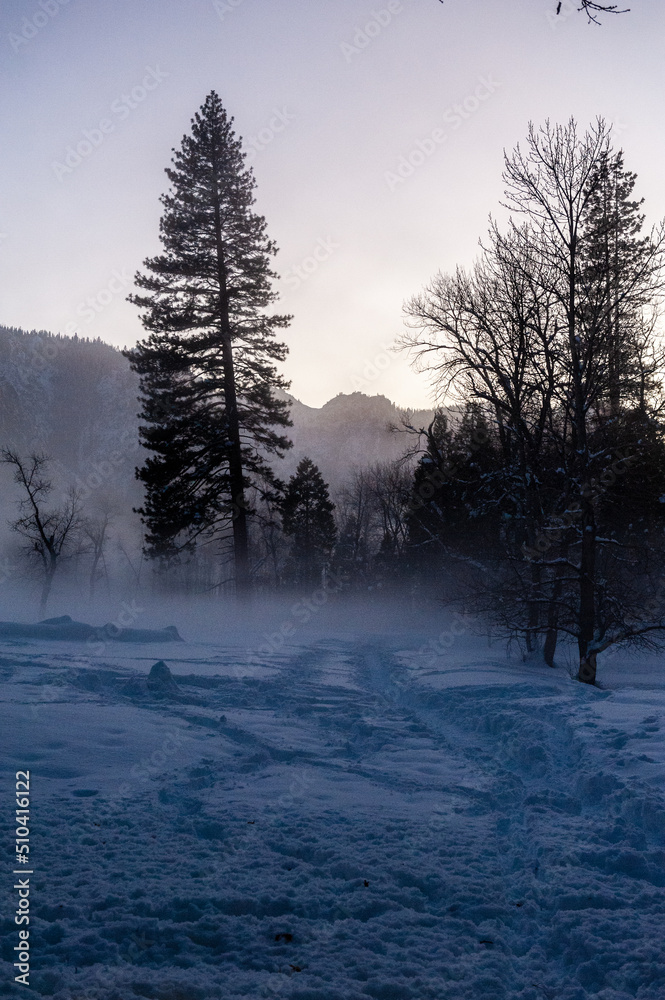 Yosemite valley is enshrouded in a thin layer of mist hanging over the merced river, providing an eerie atmosphere around sunset.