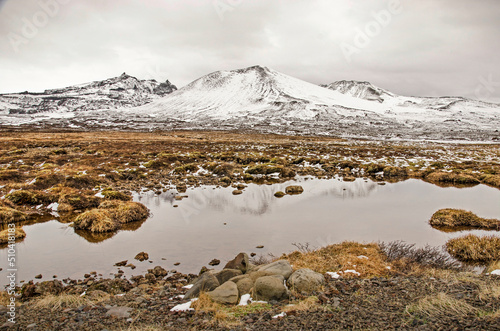 shallow pond in a field with moss, grass and rocks, with snow-covered mountains in the background, at Snaefellsness peninsula in Iceland