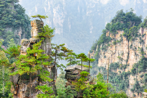 Awesome view of trees growing on top of rock, Avatar Mountains photo