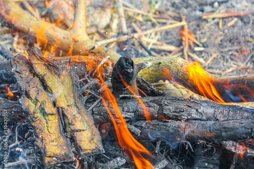 Campfire and burning wood with orange flames Germany. Campfire and burning wood with orange flames Germany.
