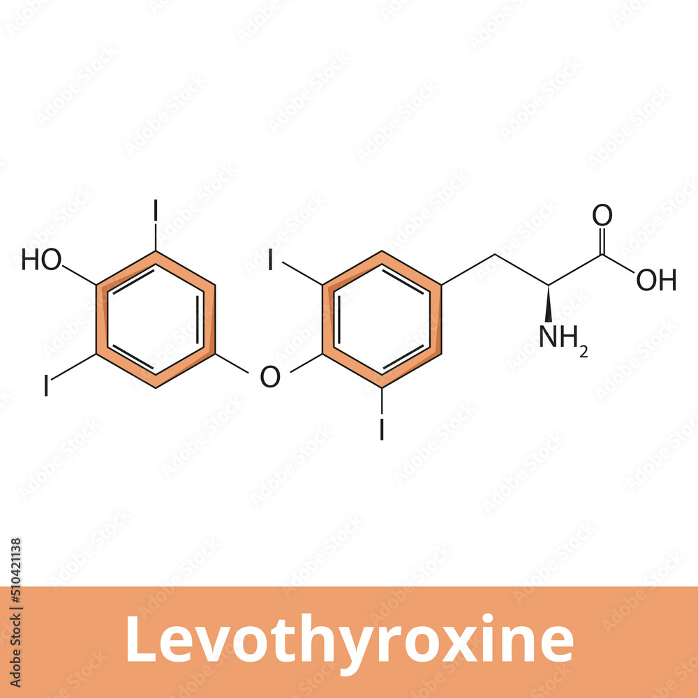Chemical structure of levothyroxine. It is a manufactured form of the thyroid hormone thyroxine
