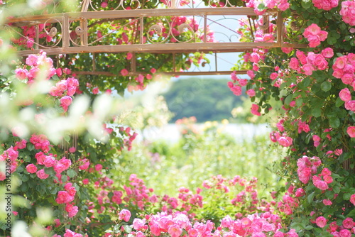 Hope you enjoy this beautiful spring season