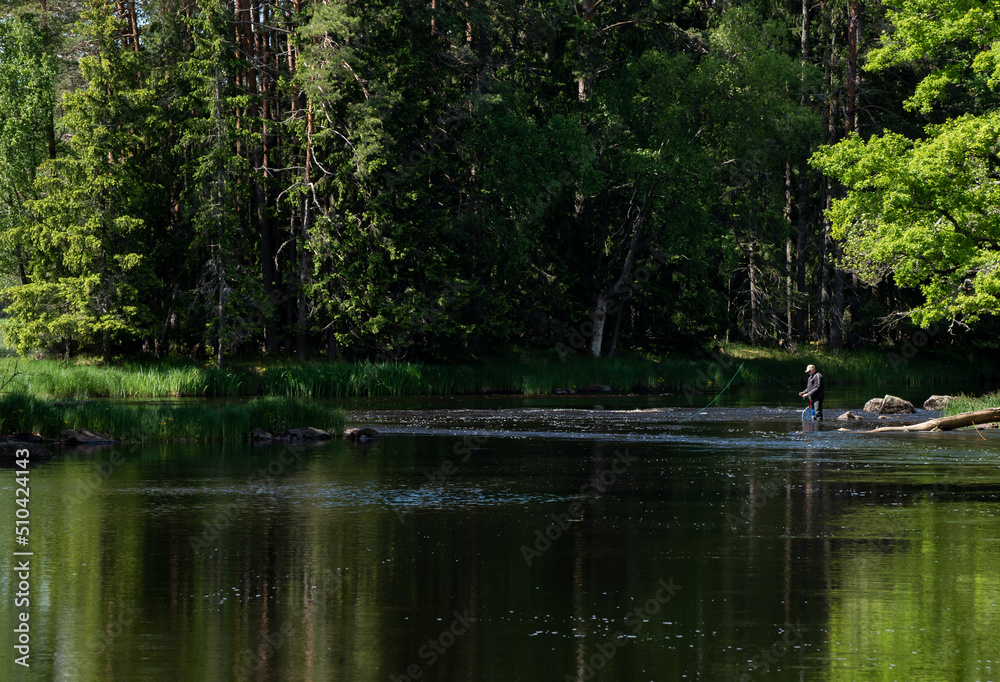Swedish river and natural salmon area in spring