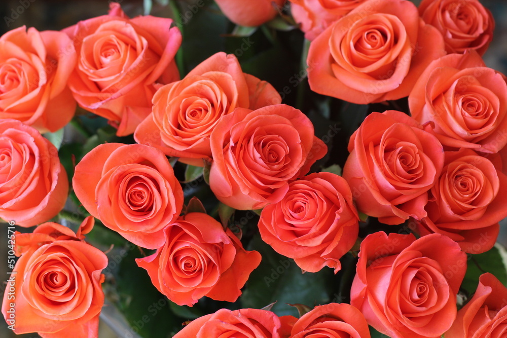 Salmon color rose bouquet