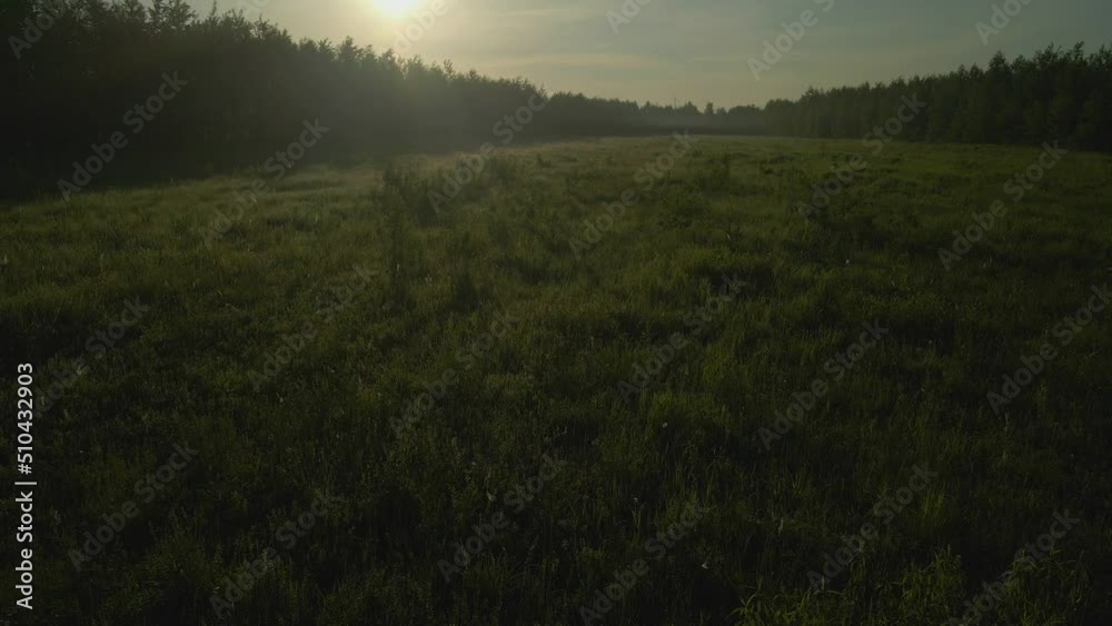 A drone flying over a morning meadow against the background of sunrise. Aerial photography.
A drone flying over a morning meadow against the background of sunrise. Aerial photography.