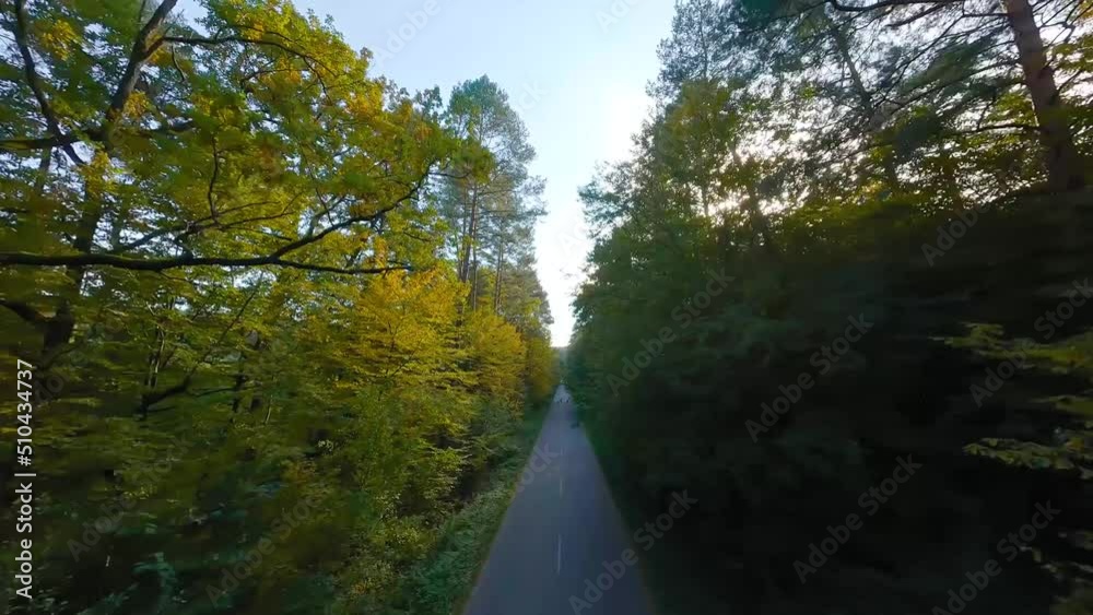 Smooth flight close to branches of trees along the road that the car is driving on. Picturesque autumn aerial landscape at sunset. Smooth flight close to branches of trees along the road that the car is driving on. Picturesque autumn aerial landscape at sunset.
