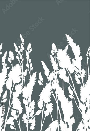 Grass silhouette on solid backgound