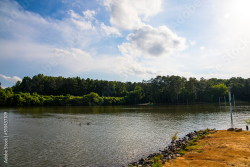 the gorgeous blue rippling waters of Lake Acworth surrounded by lush green trees, grass and plants with blue sky and clouds at Proctor Landing Park in Acworth Georgia USA photo