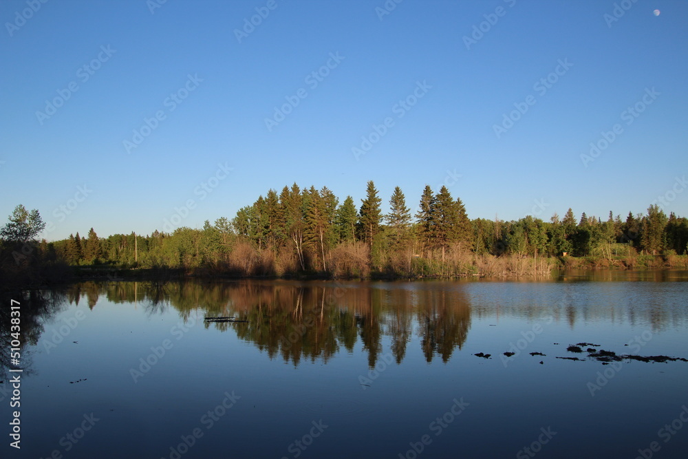 reflection of trees in the lake, Elk island National Park, Alberta