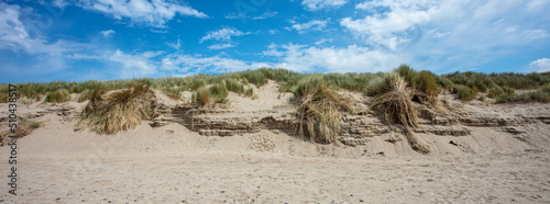 The Sand Dunes at Aber Dyfi Beach