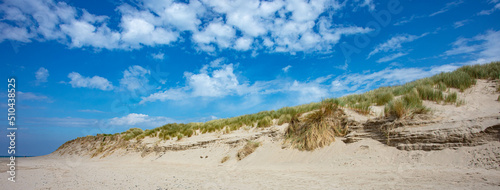 The Sand Dunes at Aber Dyfi Beach