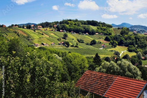 Obraz na płótnie Beautiful landscape scenery of countryside, vineyards and vine cellars on the green hils under blue skies at Klenice, Croatia, county hrvatsko zagorje w salonie