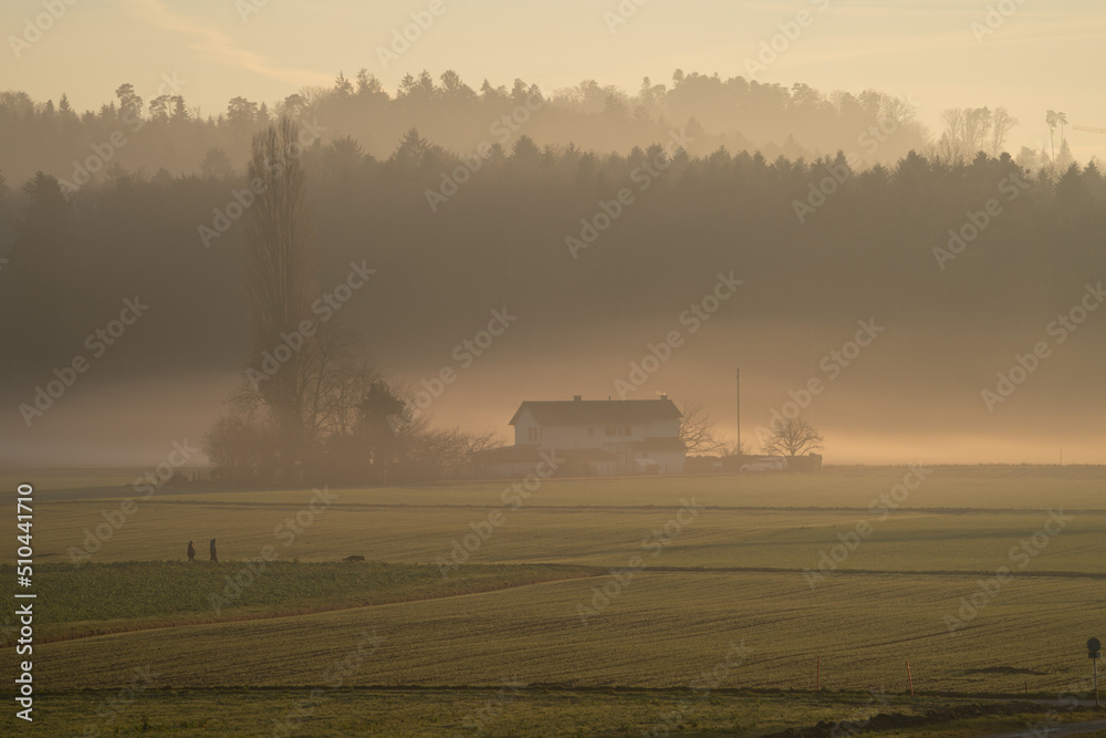 Fototapeta premium Foggy spring day in Switzerland