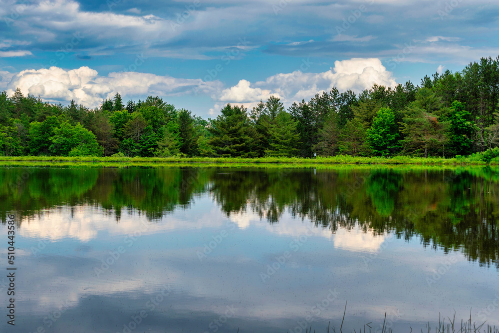 Aqua-Terra Wilderness Area in Binghamton NY. Small lake or large pond, I'm not really sure the difference. Aqua-Terra Wilderness Area in Binghamton NY. Small lake or large pond, I'm not really sure the difference.