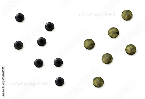 Scattered seeds of French green and black beluga lentil isolated on white background. Top view. Realistic vector illustration.