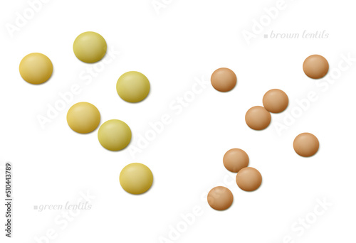 Scattered seeds of green and brown lentil isolated on white background. Top view. Realistic vector illustration. 