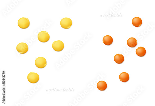 Scattered seeds of red and yellow (football) lentil isolated on white background. Top view. Realistic vector illustration.
