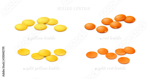Groups of red and yellow (shelled) lentil (split and whole) isolated on white background. Side view. Realistic vector illustration. photo