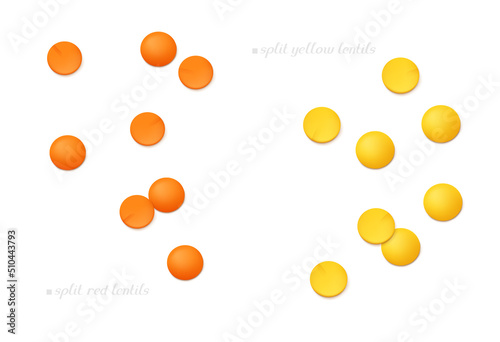 Scattered red and yellow split lentils (Masoor Dal) isolated on white background. Top view. Realistic vector illustration. 