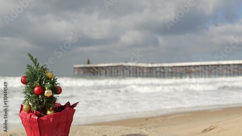 Christmas tree on sandy sea beach, New Year on ocean coast, Xmas in California. Decor from pine or fir tree, winter holidays in USA. Festive decoration, waves and seascape. Seamless looped cinemagraph