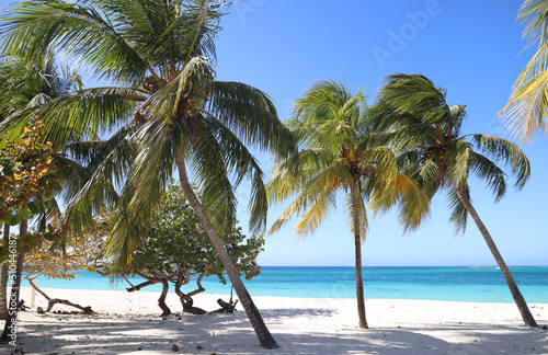 Canvas Print The magical colors of Playa Esmeralda in Guardalavaca, Cuba
