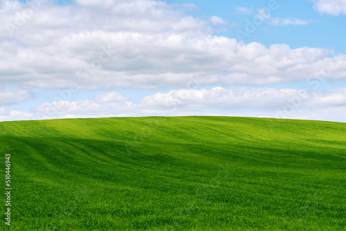 Green field landcape, agriculture harvest concept. Green farm field and blue cloudy sky. Summer panorama wallpaper, meadow, blue sky, clouds. Countryside landscape, grassland background