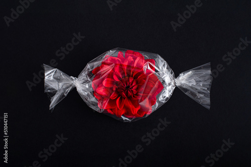 Billede på lærred Red flower petals wrapped in cellophane like candy on a black background