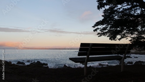Ocean beach, empty bench silhouette on shore, sea water waves, Monterey, 17-mile drive, California coast, USA. Pacific Grove beachfront waterfront promenade, waterside park, sunset seascape, pine tree