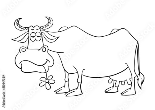 Cartoon phlegmatic cow. Vector illustration isolated on white. Outline drawing of cartoon funny cow.