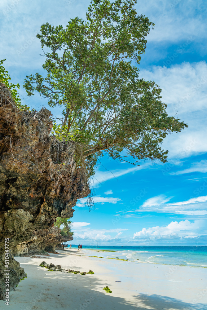 Tree on the rock over the white beach and ocean. Zanzibar,Tanzania Tree on the rock over the white beach and ocean. Zanzibar,Tanzania