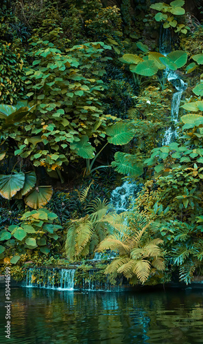 Forest mini waterfall/creek/stream/brook.Vertical green landscape in the nature rainforest .Fantastic colour mood/tone. Colour tone of Avatar movie