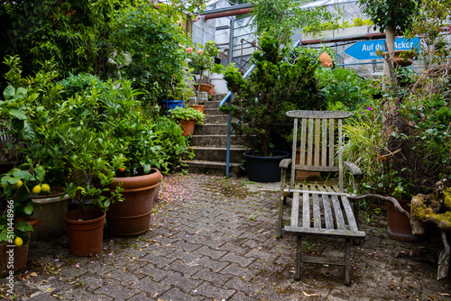 Old vintage wooden sunbed surrounded by plants in a garden