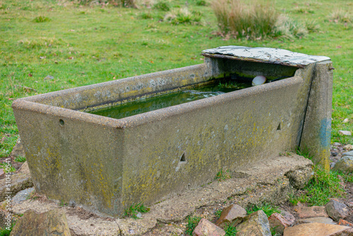 A rectangle cattle and sheep concrete water trough in a grass field in the rain