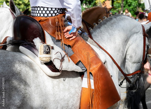 Detail of the hand of a rider and her Zahon in the traditional outing of the brotherhood of Rocio de Huelva in Spain