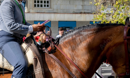 Detail of the hand of a rider manipulating his mobile in the traditional outing of the brotherhood of Rocío de Huelva in Spain