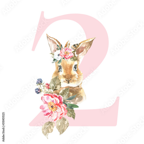 Watercolor Pink Animals Floral Number - digit 2 with cute watercolor bunny animal. Floral number element for baby shower  it s a girl  it s a boy  birthday  table number  digital invite  wedding