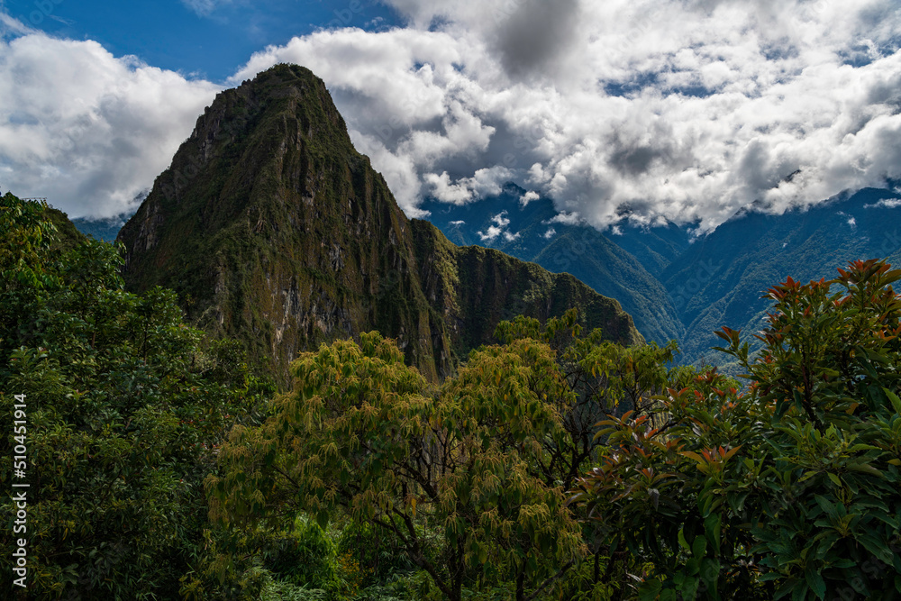 Machu Picchu