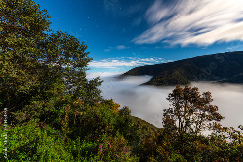 manu nationalpark in peru