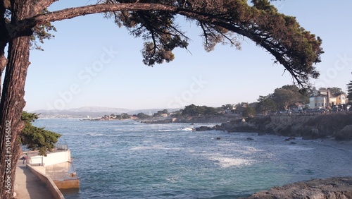Rocky craggy ocean beach, sea waves in Monterey, 17-mile drive, California coast, USA. Pacific Grove, beachfront waterfront promenade, waterside Lovers Point park. Cypress pine tree near Pebble beach.