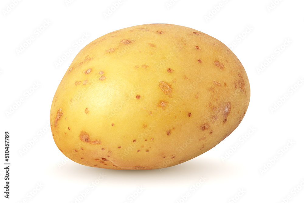 Whole potato isolated on white background. Whole potato isolated on white background.