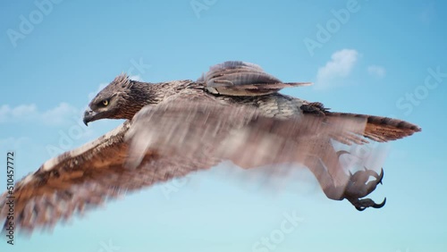 Golden Eagle Flies in the Sky in Search of a Prey 3D Rendering Animation 4K photo