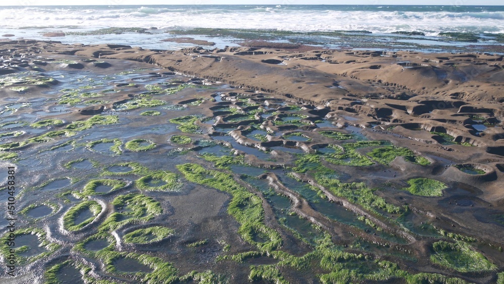 Eroded rock formation, tide pool in La Jolla, California coast, USA. Littoral intertidal zone erosion, unusual relief shape of tidepool. Water in cavity, hollows and holes on stone surface, low tide. Eroded rock formation, tide pool in La Jolla, California coast, USA. Littoral intertidal zone erosion, unusual relief shape of tidepool. Water in cavity, hollows and holes on stone surface, low tide.