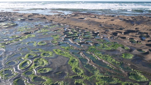 Eroded rock formation, tide pool in La Jolla, California coast, USA. Littoral intertidal zone erosion, unusual relief shape of tidepool. Water in cavity, hollows and holes on stone surface, low tide. photo