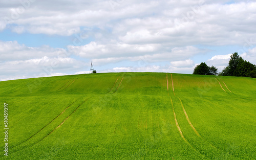 Green field landcape  agriculture harvest concept. Tire marks on farm field and blue cloudy sky. Summer panorama wallpaper  meadow  blue sky  clouds. Countryside landscape  grassland background