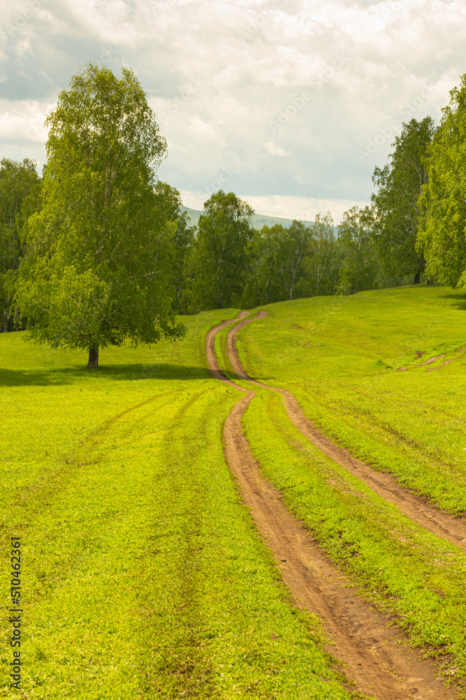 Green forest with a road going into the distance. Photo of a summer or spring forest with young green foliage. Forest road to the thicket. Photo for backgrounds, templates, pictures. Green forest with a road going into the distance. Photo of a summer or spring forest with young green foliage. Forest road to the thicket. Photo for backgrounds, templates, pictures.