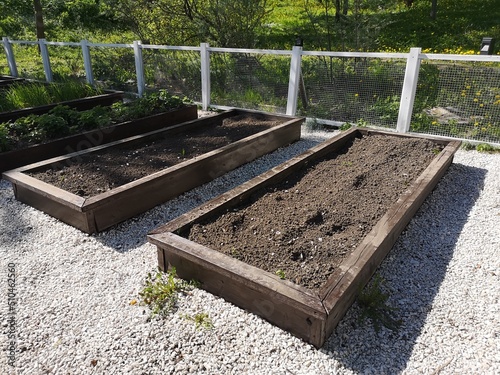 Wooden garden beds with your own hands. Tracks in the garden