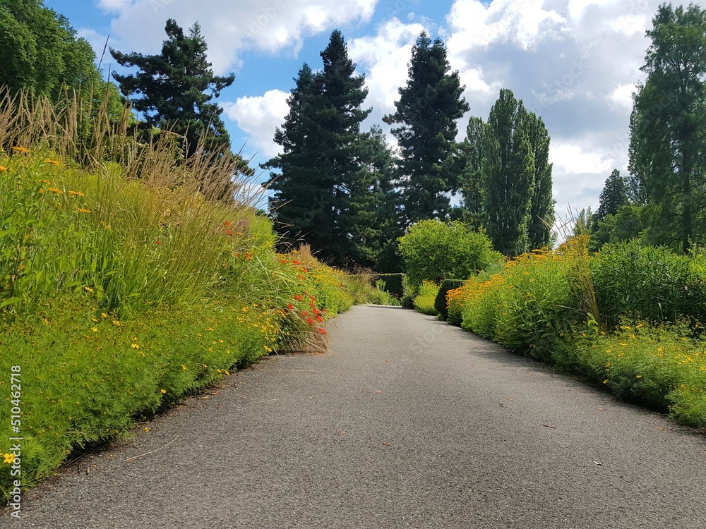 A long path leads between the plants.